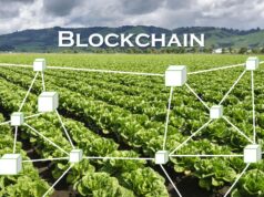 Food Safety and Blockchain Technology