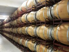 Best Practices For Italian Bulk Wine Sale And Export For The B2B Market